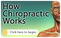 How Chiropractic Works